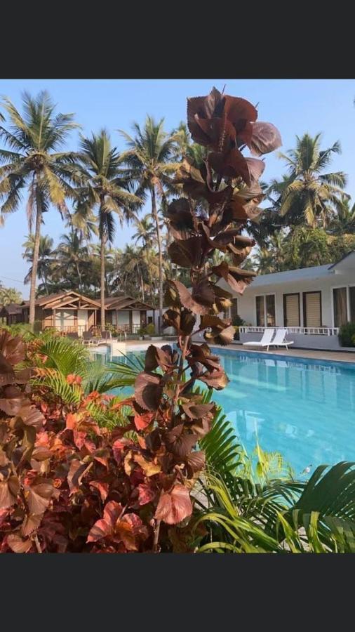 Golden Sands Resort Morjim Eksteriør billede